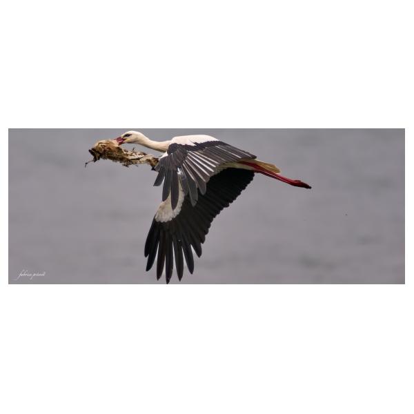 PHOTO84, CLUB, 84 , LUBERON